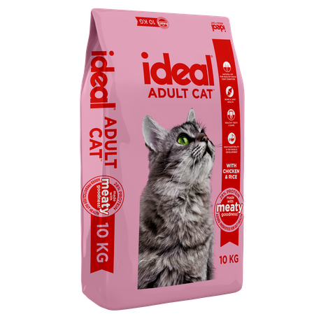 Cat food next day delivery best sale