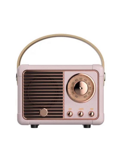 Hm11 Portable Wireless Speaker