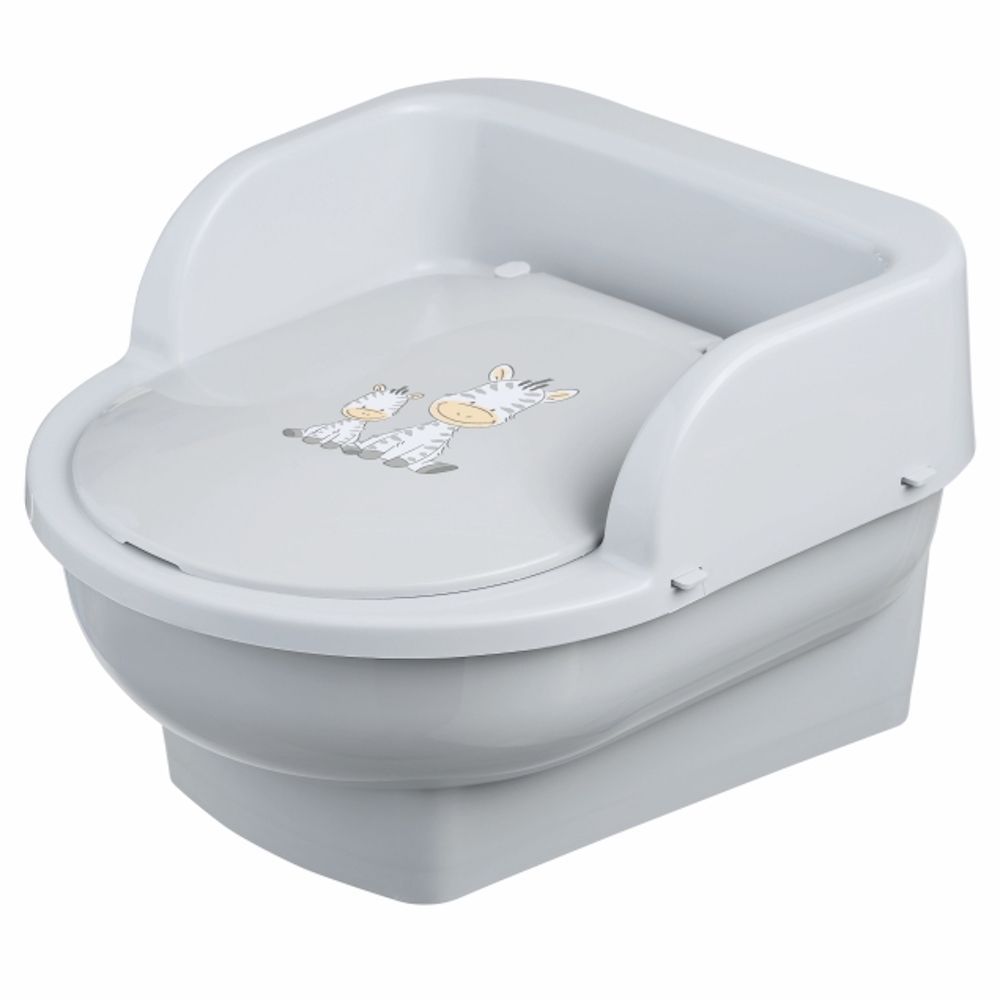 Potty Training Mini Toilet Buy Online in South Africa