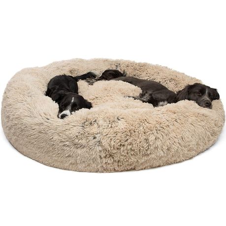 takealot dog beds