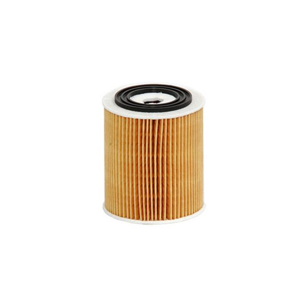 Oil Filter - M31 (GUD)