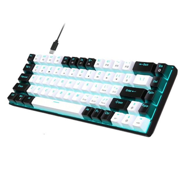 Wired Backlit Keyboard With Dual Colour Injection Keycaps - White &amp; Black