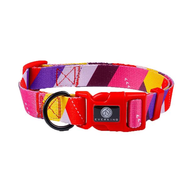 Premium Pop Series Design Dog Collar - Colorful
