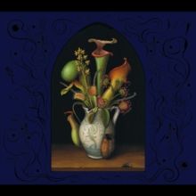 Perchance to Dream (CD / Album)