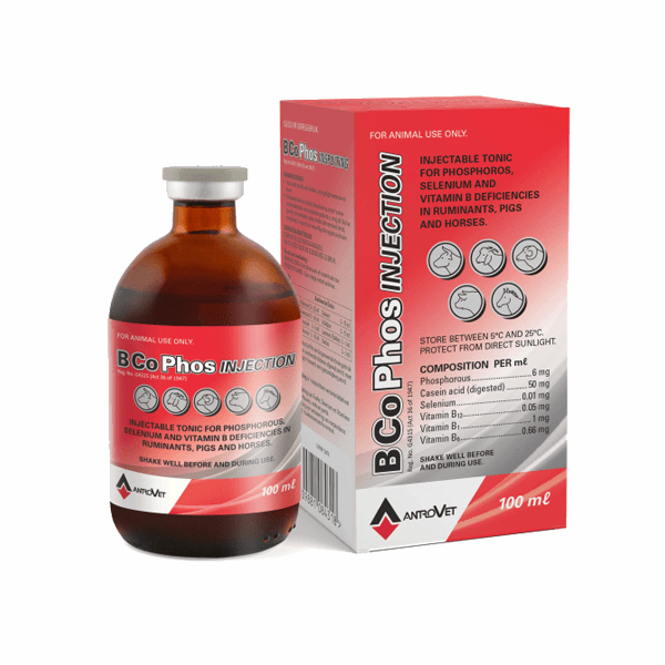Antrovet - B-Co Phos Injection 100ml