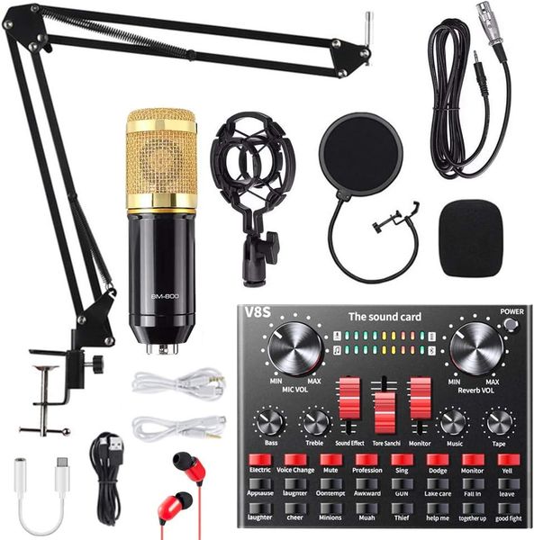 Professional Condenser Microphone