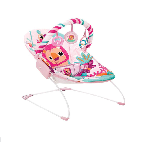 Baby sale bouncer takealot