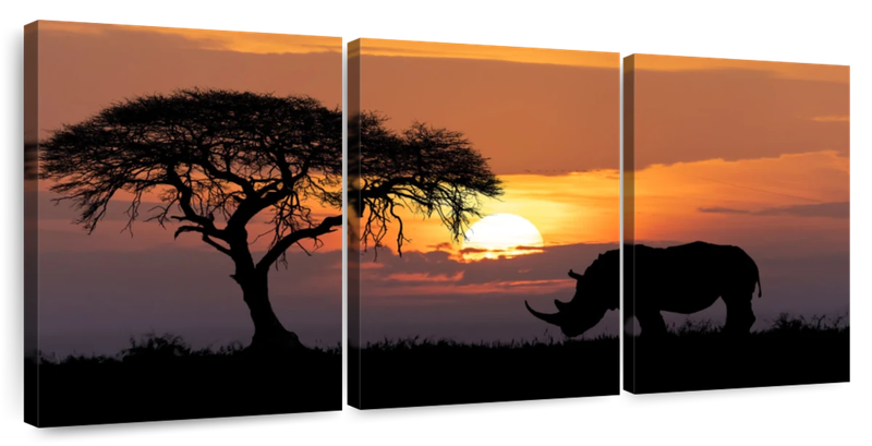 Canvas Art - African Rhino Sunset 3 Piece Canvas Wall Art Living Bedroom