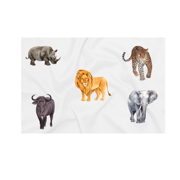 Katz Designs Baby Blanket - Animal Themed