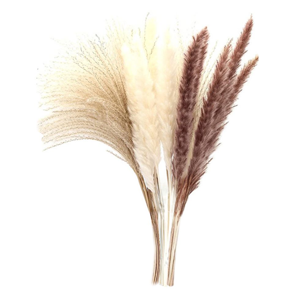 Home Natural Dried Grass Flowers For Wedding Party Decoration 20pc