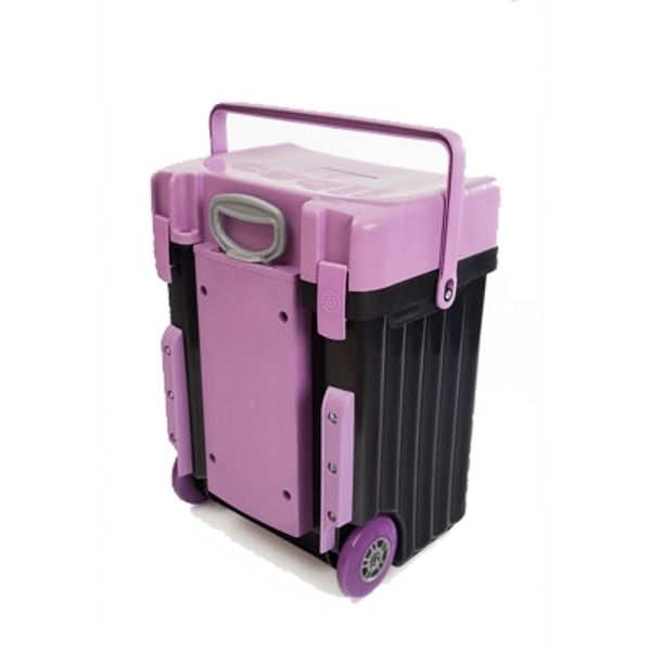 Caddii School Bag - Lilac Lid with Black Body