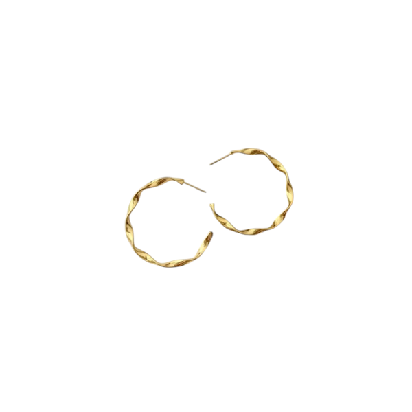 Reptronic Stainless steel Gold plated round earrings-Twisted Hoop Earrings