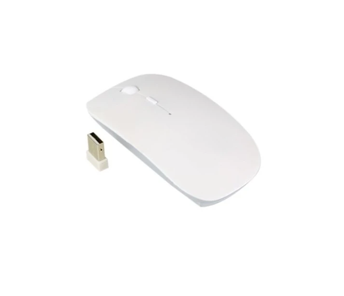 Wireless Optical Mouse With Anti-interference R-602
