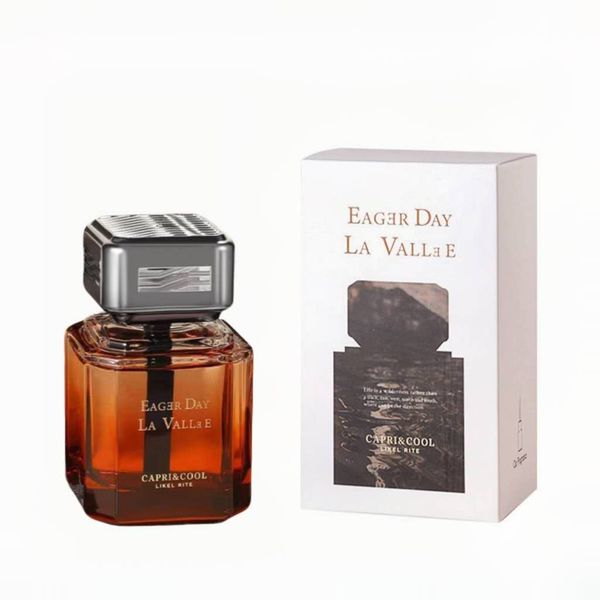 100ml Vehicle Bedroom and Public Space Diffuser