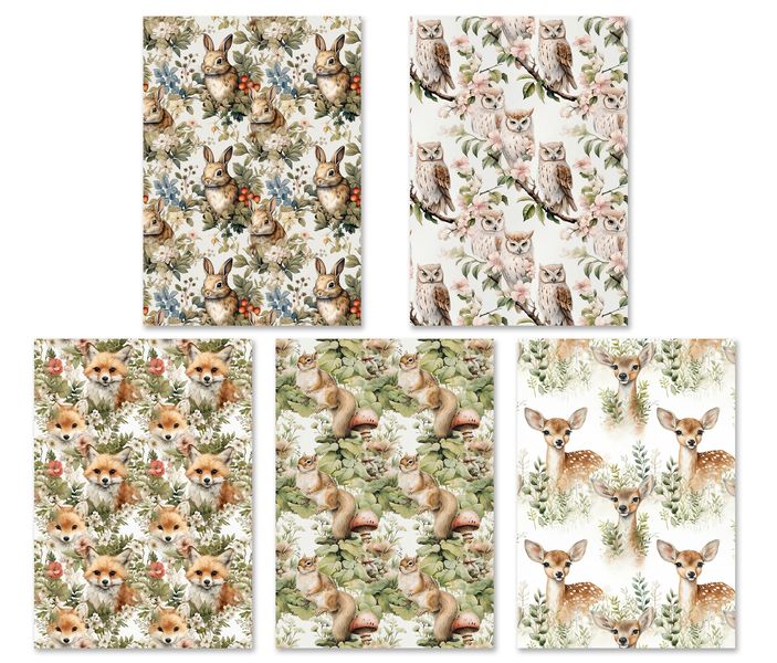 Greeting Cards: Woodland Creatures (5 Pack)