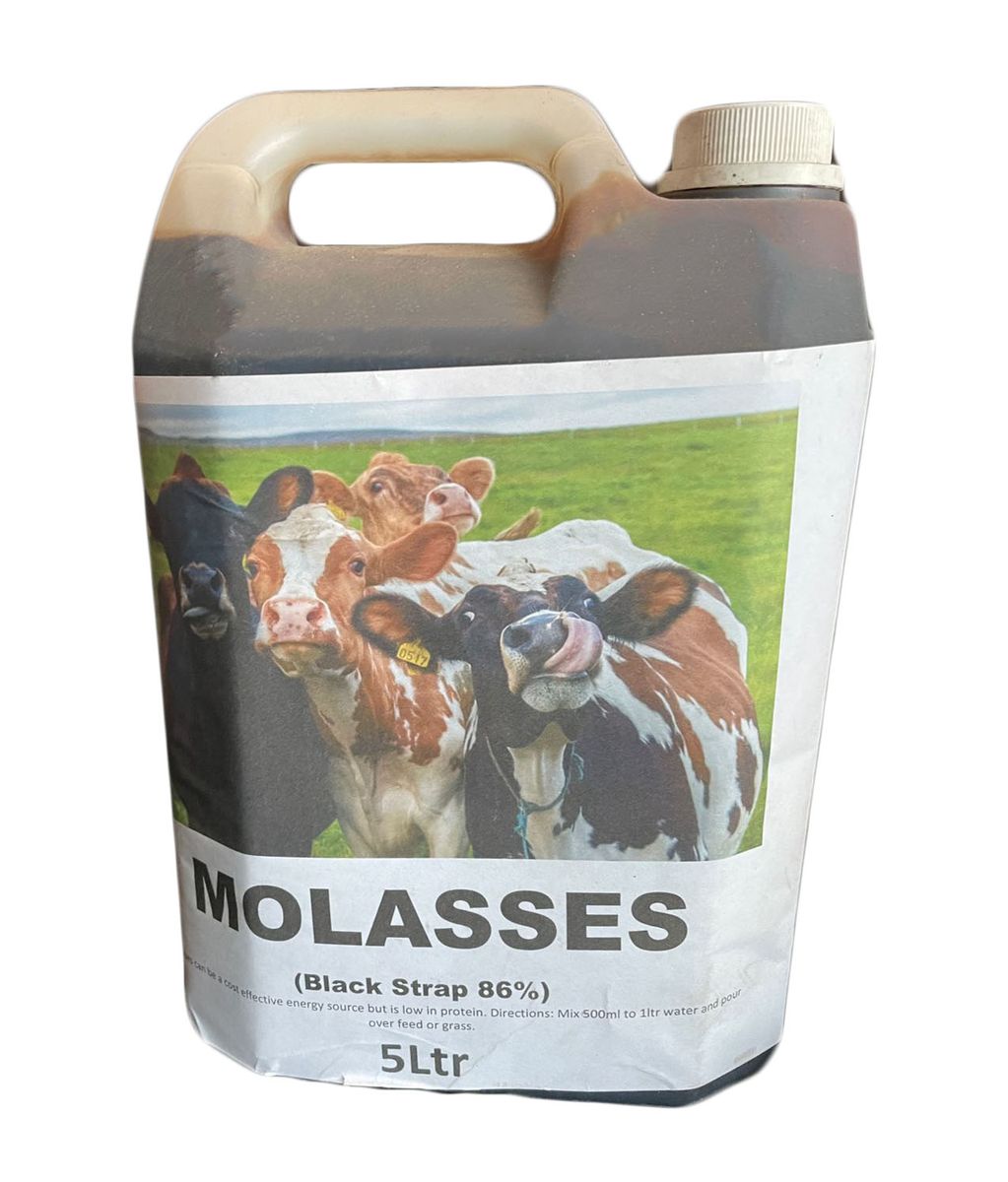 Molasses Blackstrap 5l Shop Today. Get it Tomorrow!