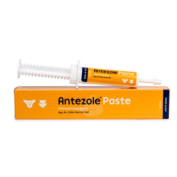 15ml - Antezole Deworming Paste For Dogs &amp; Cats By Great Empire