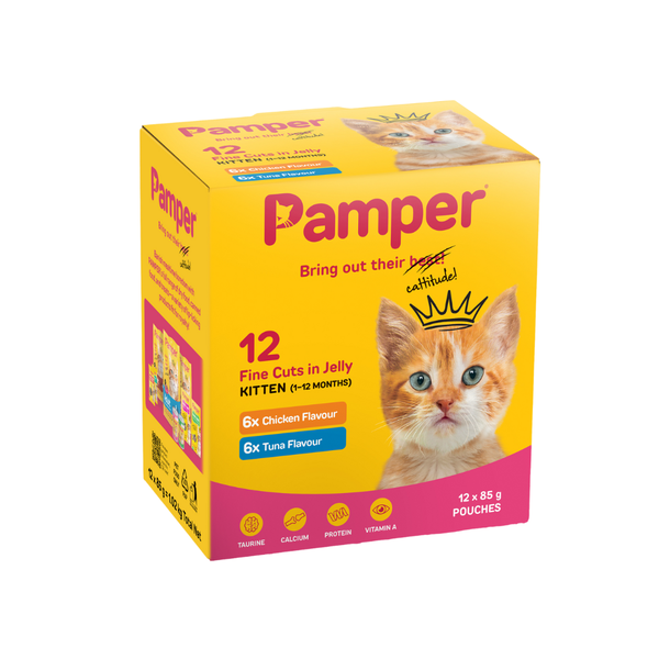 Pamper Wet Cat Food Kitten Fine Cuts in Jelly (12 x 85g) Pouches