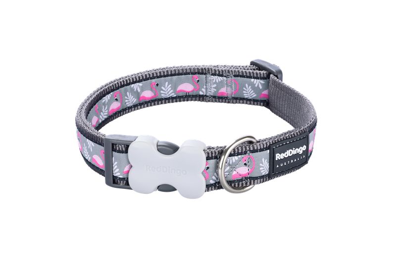 Red Dingo Dog Collar - Design - XS - Flamingo Grey