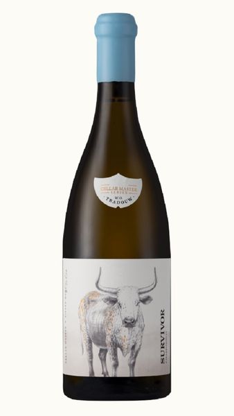Survivor Cellar Master Series Chardonnay 1 x 750ml Bottle