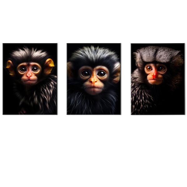 Canvas-Art-3 Pieces Cute Little Monkey Faces Animals Wall Art