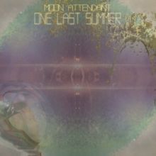 One Last Summer (Vinyl / 12" Album)