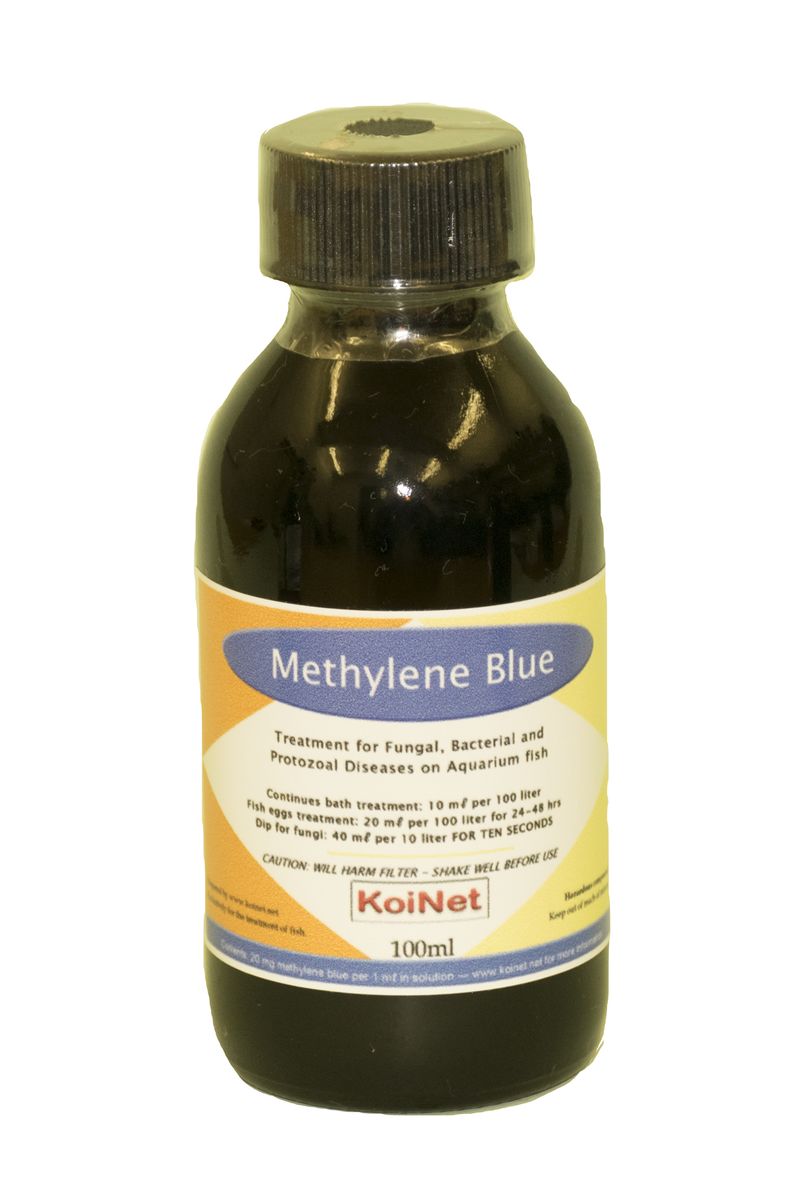 Methylene Blue 100ml | Buy Online in South Africa | takealot.com