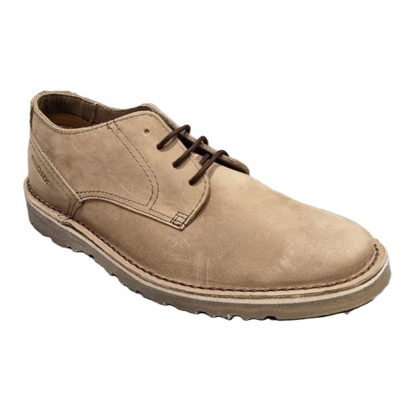 Bronx Alex Putty Sandiego