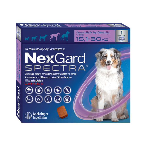 Nexgard - Spectra For Large Dogs - Pack Of 4