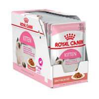 120 pouches cat food best sale