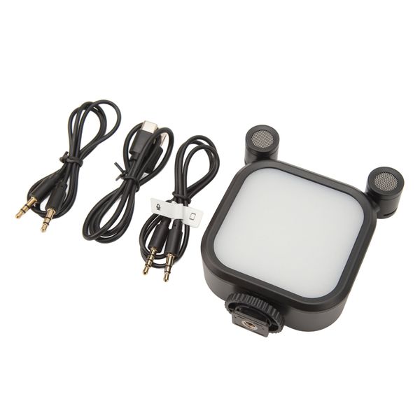 Mic+Light Combo With 10 Brightness Levels