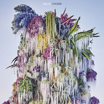 Cousin (Vinyl / 12" Album)