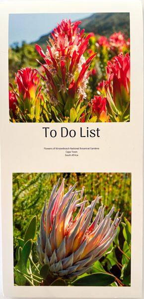 Flowers of Kirstenbosch Magnetic Fridge To Do Pad / List