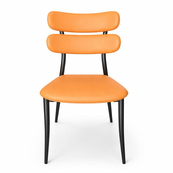 Modern Dining Chair - Kitchen &amp; Dining Room Use