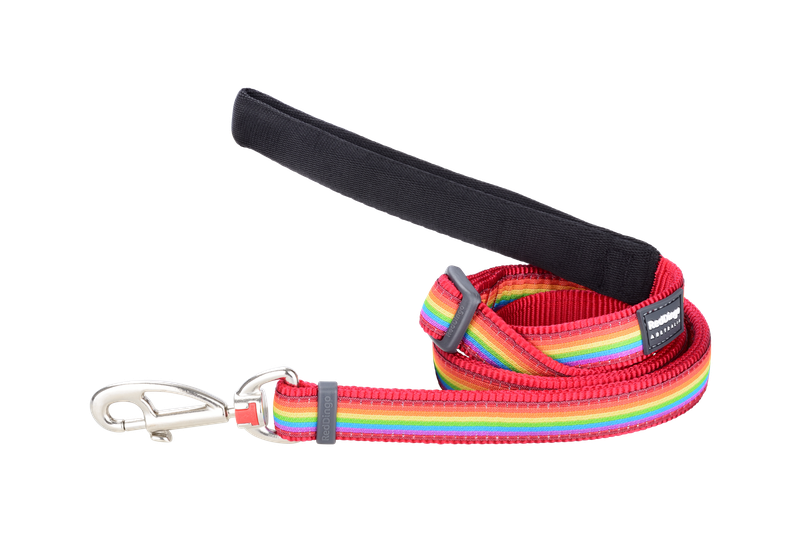 Red Dingo Design Lead - Rainbow Red
