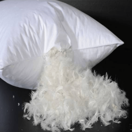 Guide To Washing Feather Pillows | eduaspirant.com