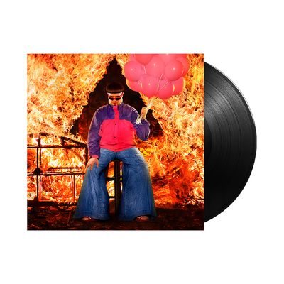 Ugly Is Beautiful (Vinyl / 12" Album)