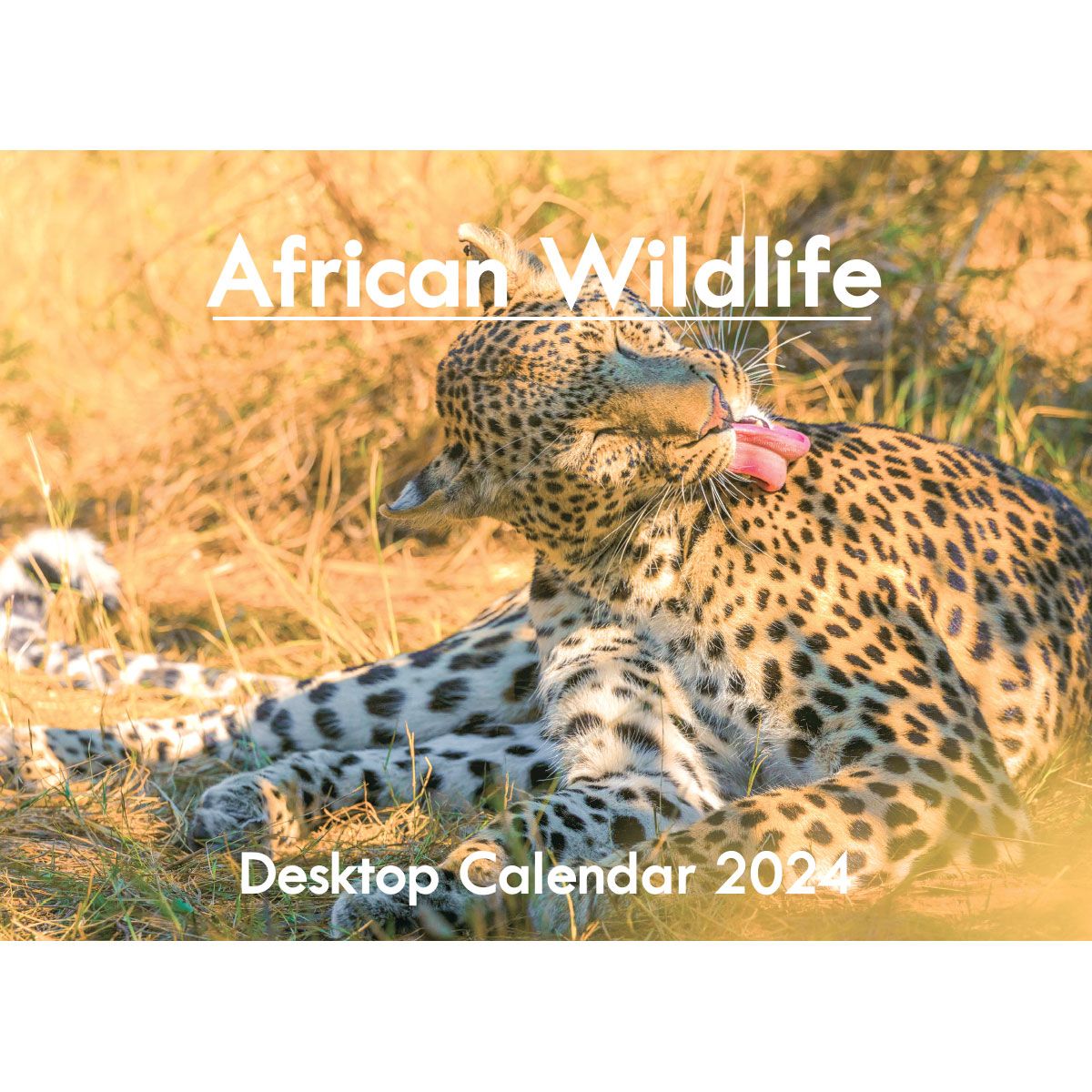 African Wildlife A5 Desktop Calendar 2024 | Shop Today. Get It Tomorrow ...