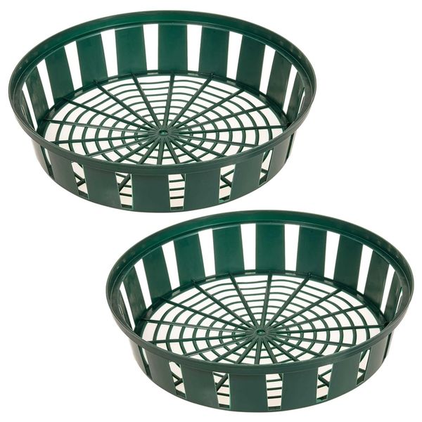 Garden Soilless Hydroponic Sprouting Bulb Nursery Flower Pot Set Of 2- 26CM