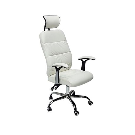 Reclining office chair with best sale adjustable arms