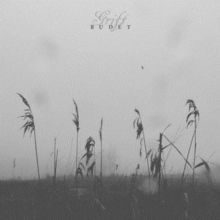 Budet (Vinyl / 12" Album)