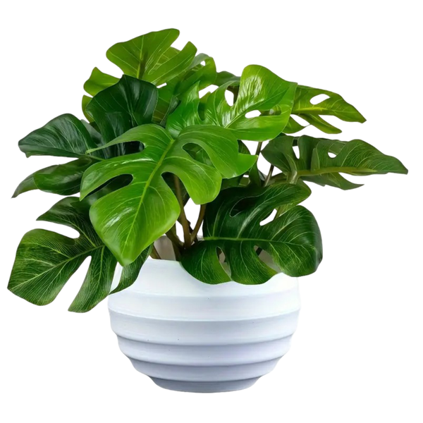 2 Artificial Green Bonsai Monstera Plant Pothos White Flower Pot Home Decor