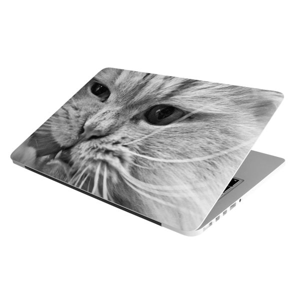 Laptop Skin/Sticker - Cat Chew