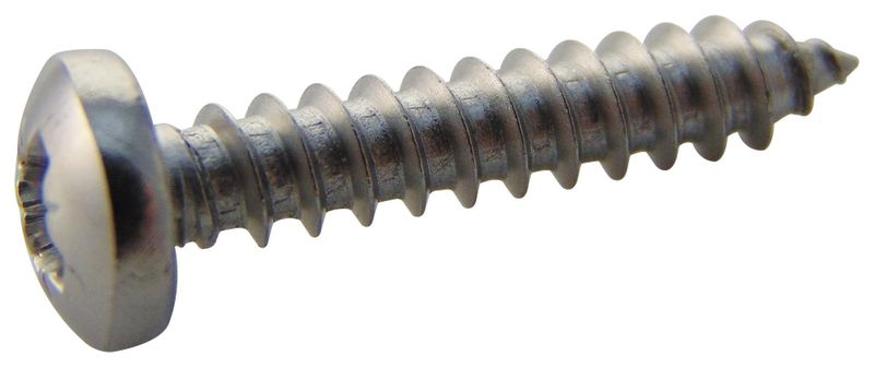 TR Fastenings (N60.750 PRSTABB100-) Screw, Self-Tapping, No.6, 19 mm