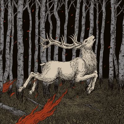 Ladoga (Vinyl / 12" Album)