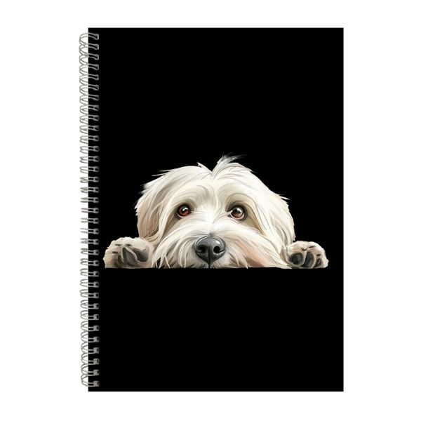 Catalan Sheepdog A4 Notebook Spiral Lined Notepad Dog Idea 374