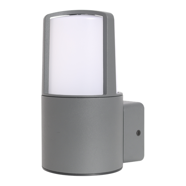 Flash LED Wall Light in Brooklyn Design