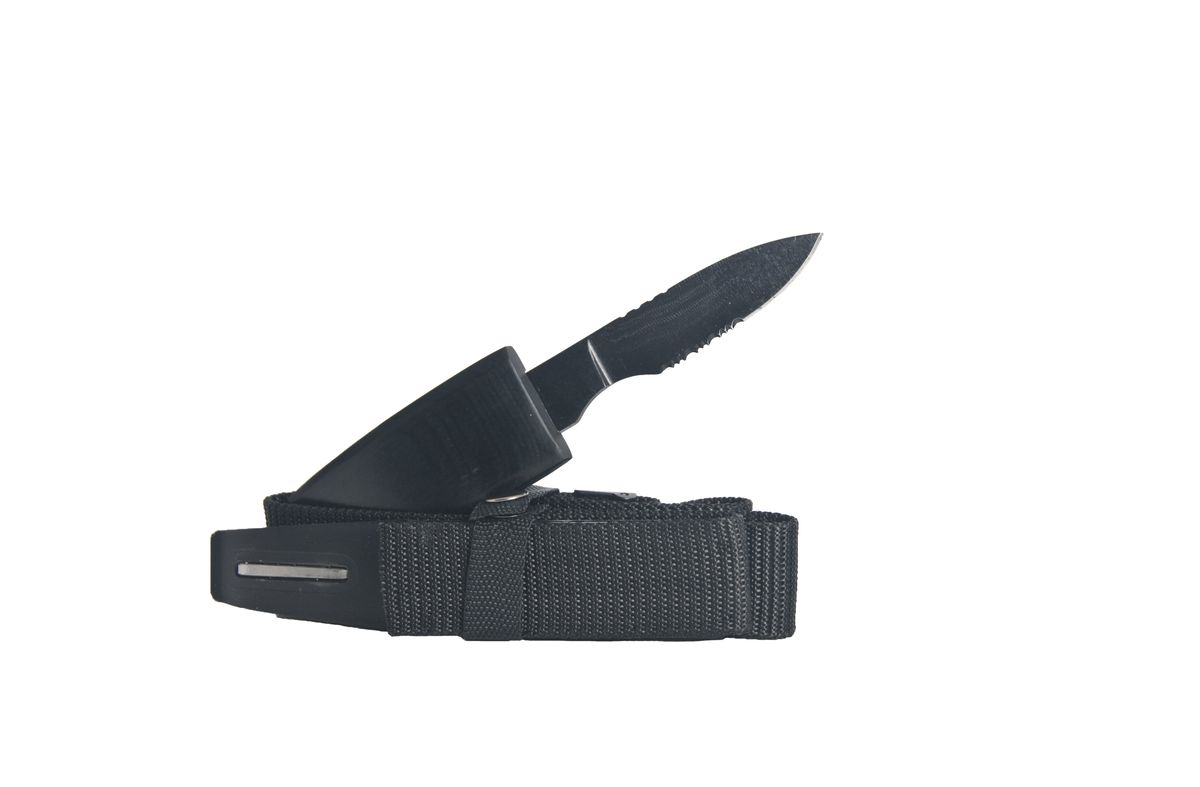 Knife Belt - Stainless Steel | Shop Today. Get it Tomorrow! | takealot.com