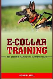 E Collar Training Dog Obedience Training With Electronic Collar