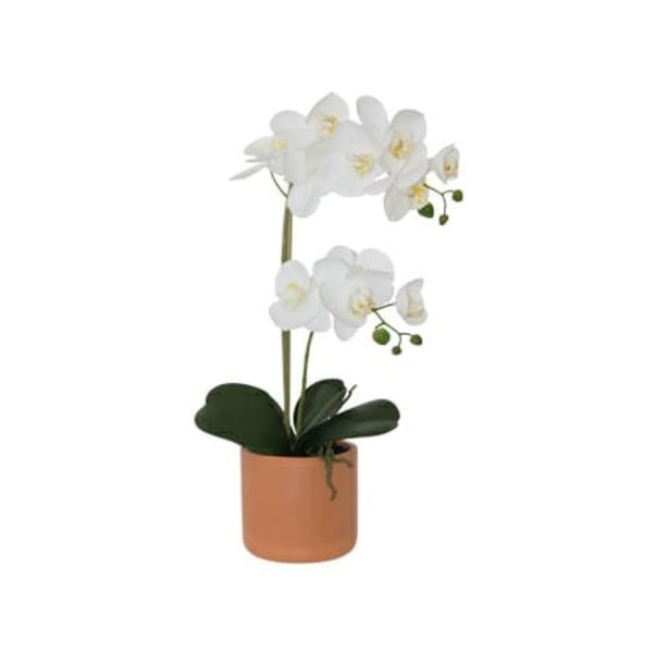 Be Classic H White Real Touch Orchid- 52cm With Terracotta Pot